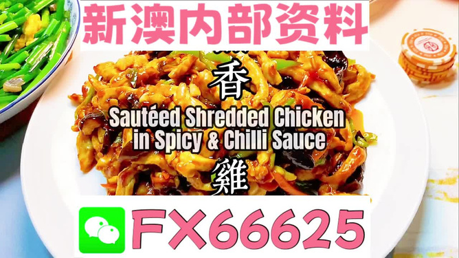 新奧天天精準(zhǔn)資料大全，全方位解讀與應(yīng)用指南，新奧天天精準(zhǔn)資料大全，全方位解讀與應(yīng)用指南手冊(cè)