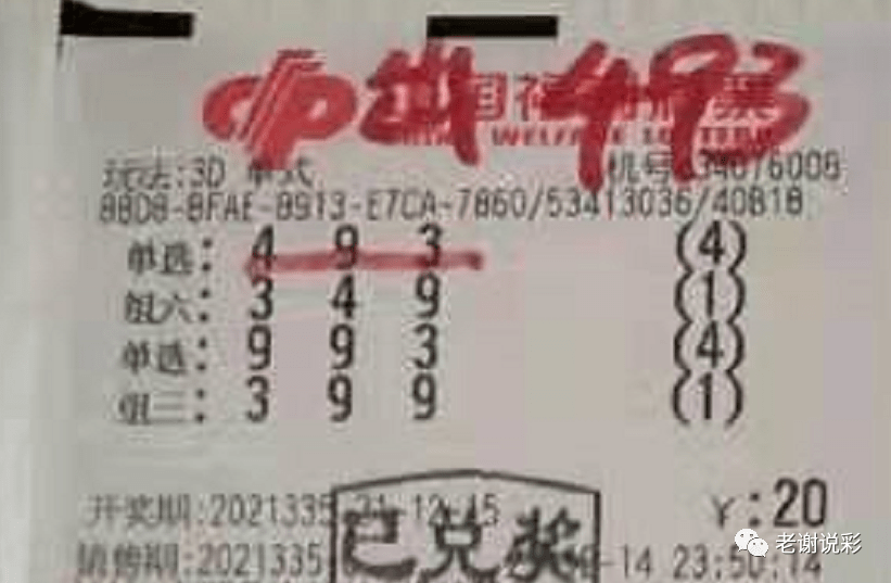新奧門彩天天開獎(jiǎng)資料一網(wǎng)羅萬象，揭秘彩票奧秘，揭秘彩票奧秘，新奧門彩天天開獎(jiǎng)資料一網(wǎng)羅萬象
