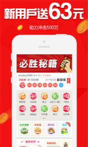 王中王欲錢請猜一肖，揭秘生肖之謎與SEO策略，揭秘生肖之謎與SEO策略，王中王欲錢請猜一肖的奧秘