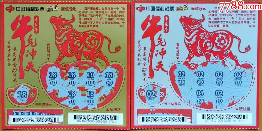 王中王19期指一生肖——探尋背后的奧秘與意義，王中王19期指一生肖，背后的奧秘與意義探尋