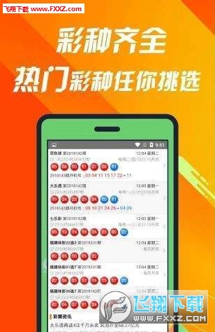 揭秘660678C0m王中王三肖一碼，真相與奧秘，揭秘，王中王三肖一碼真相與奧秘探索