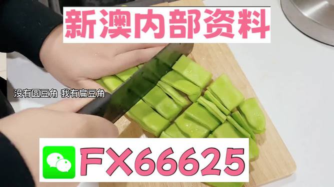 新澳精選資料免費提供，探索優(yōu)質資源的海洋，新澳精選資料免費探索，優(yōu)質資源海洋的開啟