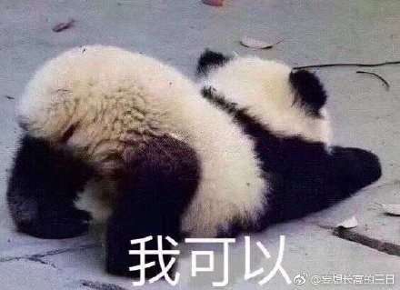 澳門四不像正版四不像網(wǎng)，探索真實與虛幻的交融之地，澳門四不像正版探索，真實與虛幻的交融世界