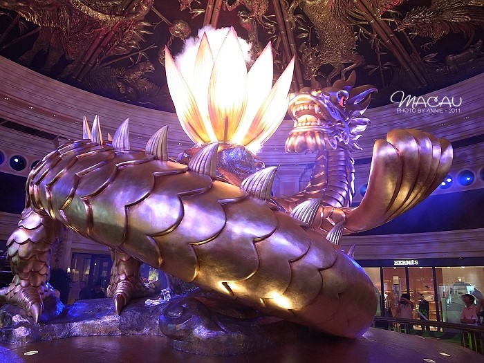 澳門無錯(cuò)七尾，探索與解析，澳門無錯(cuò)七尾，深度探索與解析