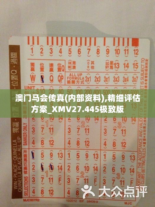 馬會傳真正版，探索正版馬會文化的魅力與價(jià)值，正版馬會文化的魅力與價(jià)值探索