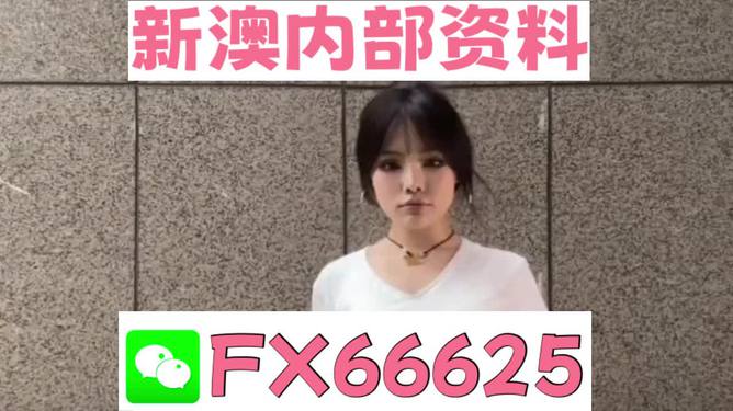 澳門正版資料大全完整版，探索與揭秘2025年澳門正版資料的世界，澳門正版資料大全揭秘，探索未來(lái)至2025年的奧秘世界