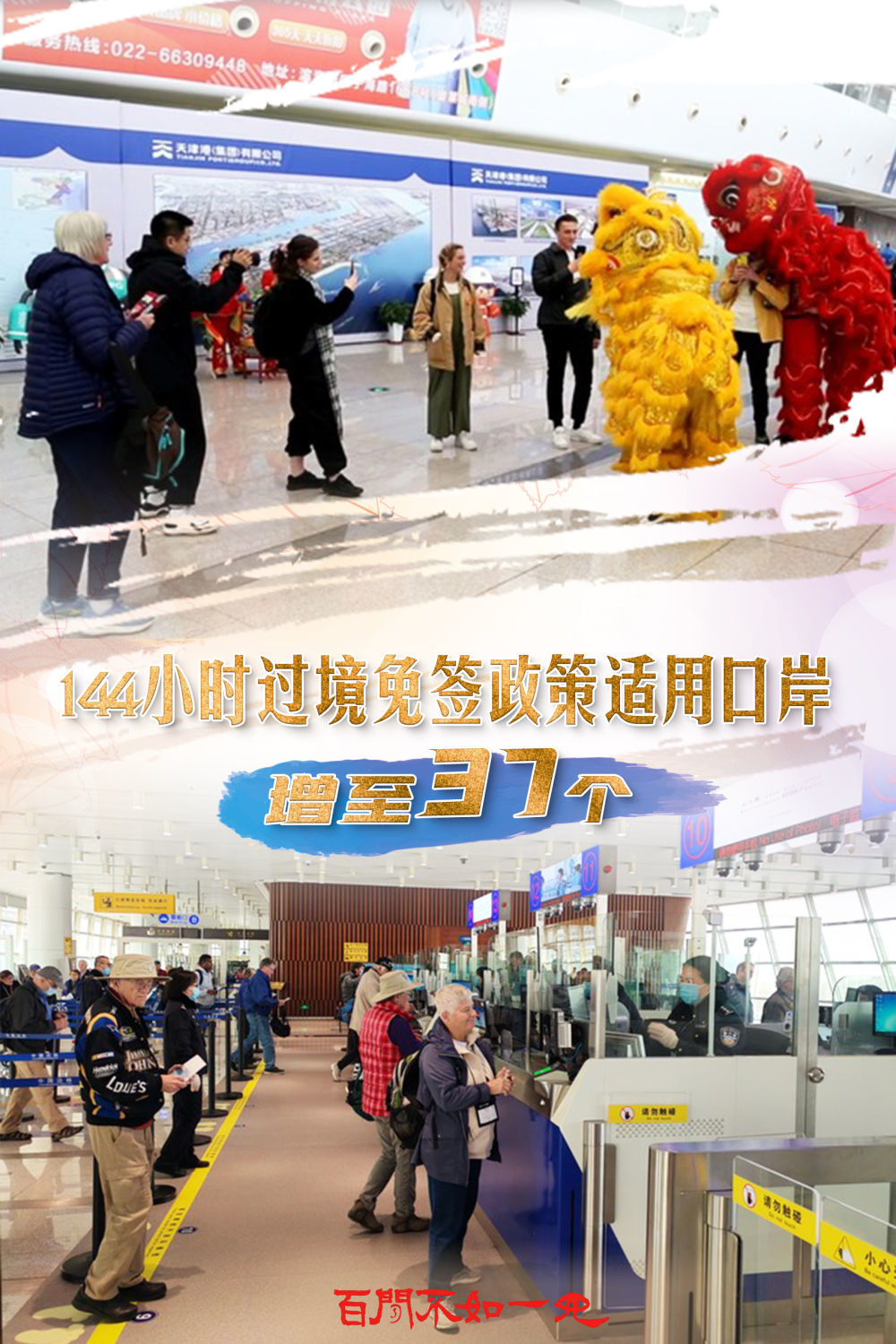 揭秘王中王，一碼一肖一特一中背后的故事，揭秘王中王背后的故事，一碼一肖一特一中傳奇揭秘