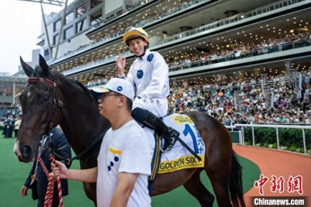 香港特馬王資料免費(fèi)公開，揭秘背后的秘密，香港特馬王資料揭秘，免費(fèi)公開背后的秘密