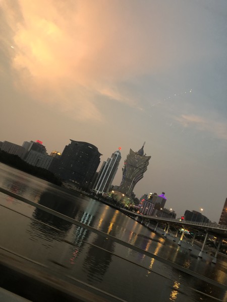 澳門今晚必開一肖一特，深度解析與預測，澳門今晚生肖特碼深度解析與預測，一肖一特必開趨勢探討