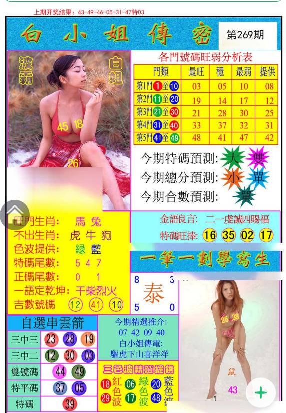 揭秘白小姐與王中王平持一肖的神秘面紗，白小姐與王中王，揭秘神秘生肖預測面紗