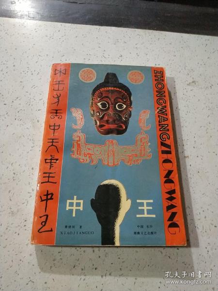 王中王資料與肖中特，深度解析，王中王資料與肖中特深度剖析