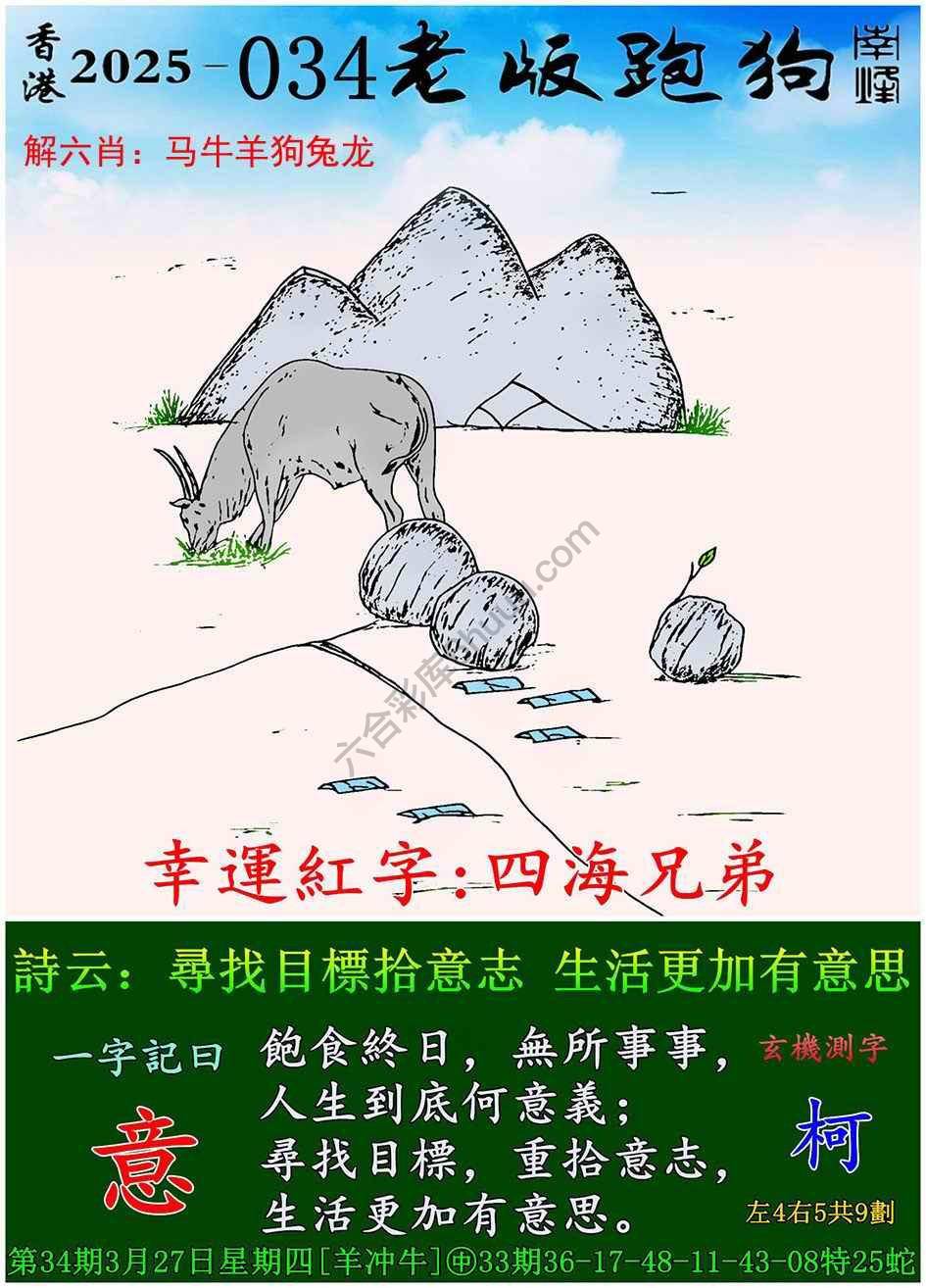 全新升級！探索7777788888新版跑狗資料，全新升級！探索跑狗資料7777788888新版揭秘