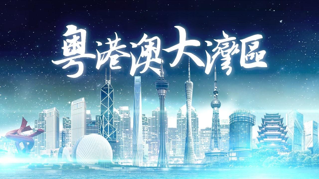 2025年香港正版免費(fèi)資料全面解析，香港正版免費(fèi)資料全面解析（2025版）