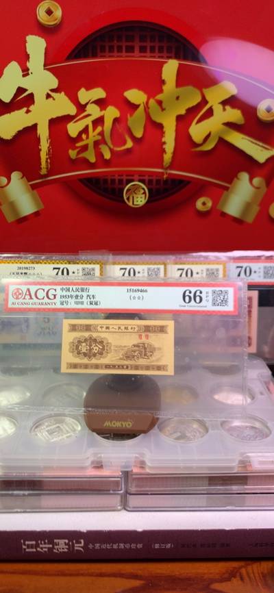 王中王廣東一肖，探尋背后的故事與奧秘，王中王廣東一肖，背后的故事與奧秘探尋