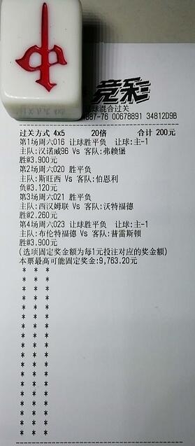 揭秘買一肖中獎(jiǎng)的賠率與風(fēng)險(xiǎn)，你真的準(zhǔn)備好了嗎？，揭秘買一肖中獎(jiǎng)背后的賠率與風(fēng)險(xiǎn)，你真的做好準(zhǔn)備了嗎？