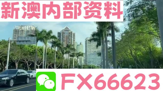 新澳精準(zhǔn)資料免費(fèi)提供，探索第221期的奧秘與價(jià)值，新澳精準(zhǔn)資料揭秘第221期奧秘與價(jià)值