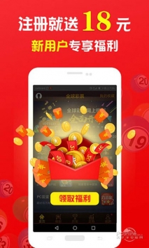 王中王一肖中打一，深度解析一種獨(dú)特的文化現(xiàn)象，王中王一肖中打一，獨(dú)特文化現(xiàn)象的深度探究