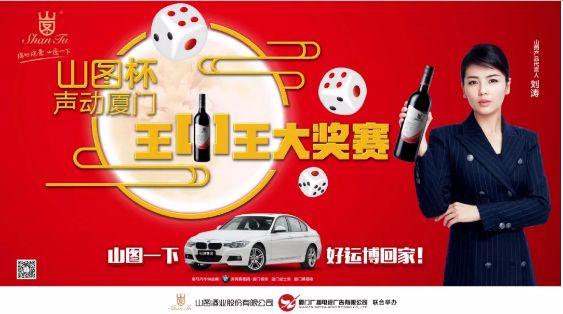 揭秘王中王背后的故事，從肖中的視角看其在SEO領(lǐng)域的輝煌成就，肖中視角下的王中王，SEO領(lǐng)域的輝煌成就揭秘