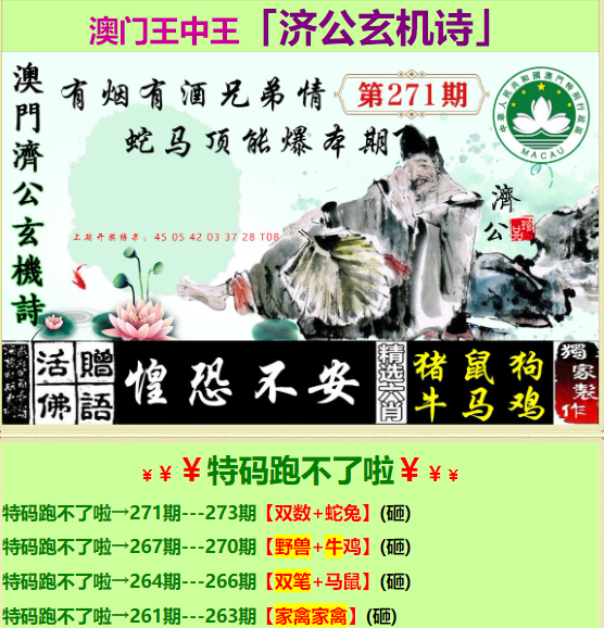 王中王資料一肖特圖，深度解析與探索，王中王資料特圖深度解析與探索