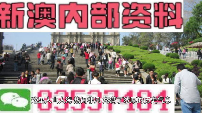 澳門最精準(zhǔn)免費(fèi)資料大全旅游團(tuán)，探索澳門之旅的完美選擇，澳門最精準(zhǔn)免費(fèi)資料大全旅游團(tuán)，探索澳門之旅的不二之選
