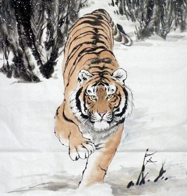 猛虎下山王中王，揭秘一生肖的神秘魅力，揭秘生肖之王——猛虎下山之神秘魅力