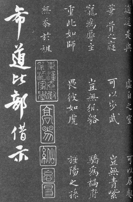 一肖二碼中特的意思解析，一肖二碼中特的意思深度解析