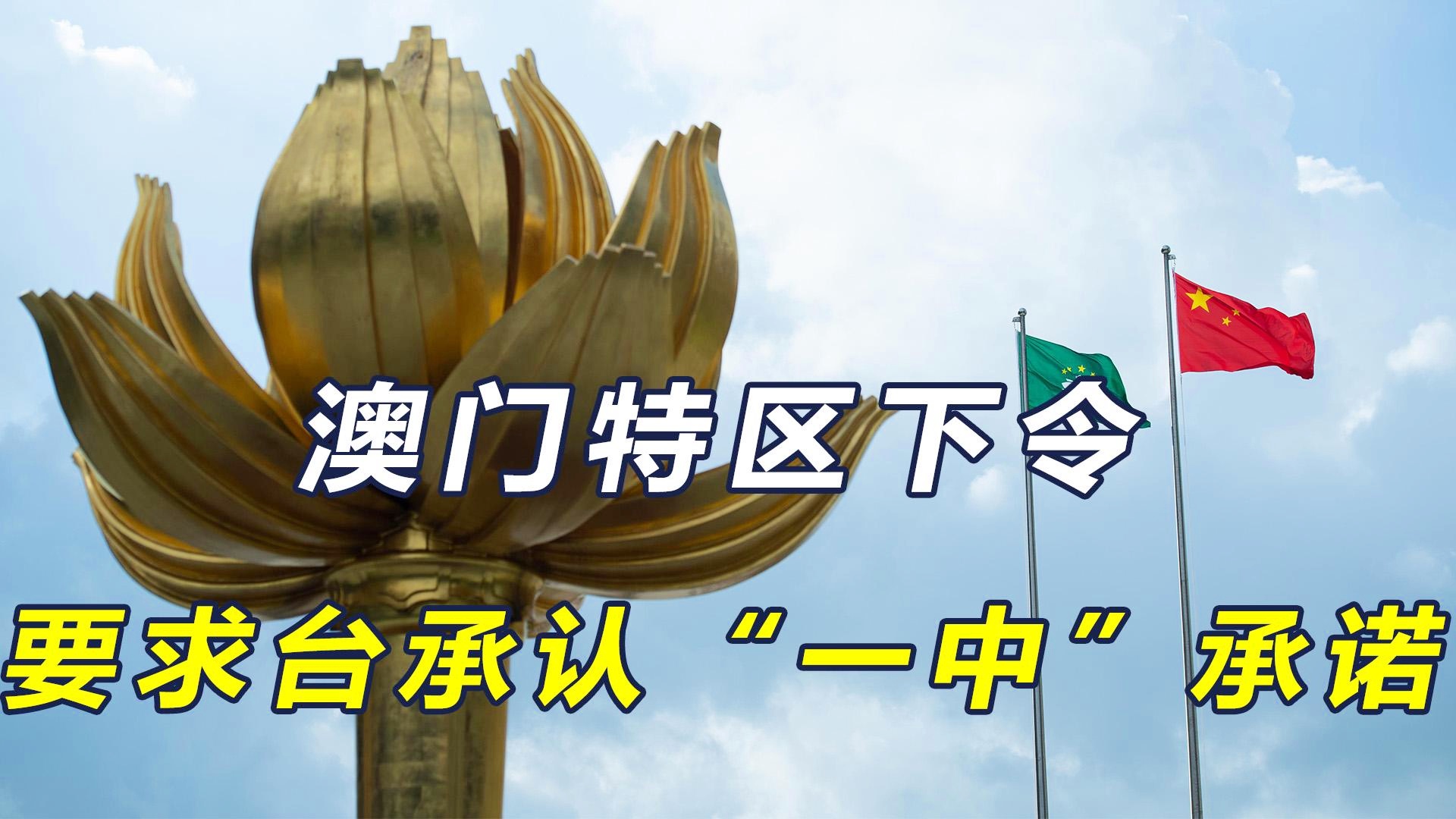 澳門一碼一肖一特一中今晚預(yù)測與探索，澳門今晚一碼一肖一特一中預(yù)測與揭秘