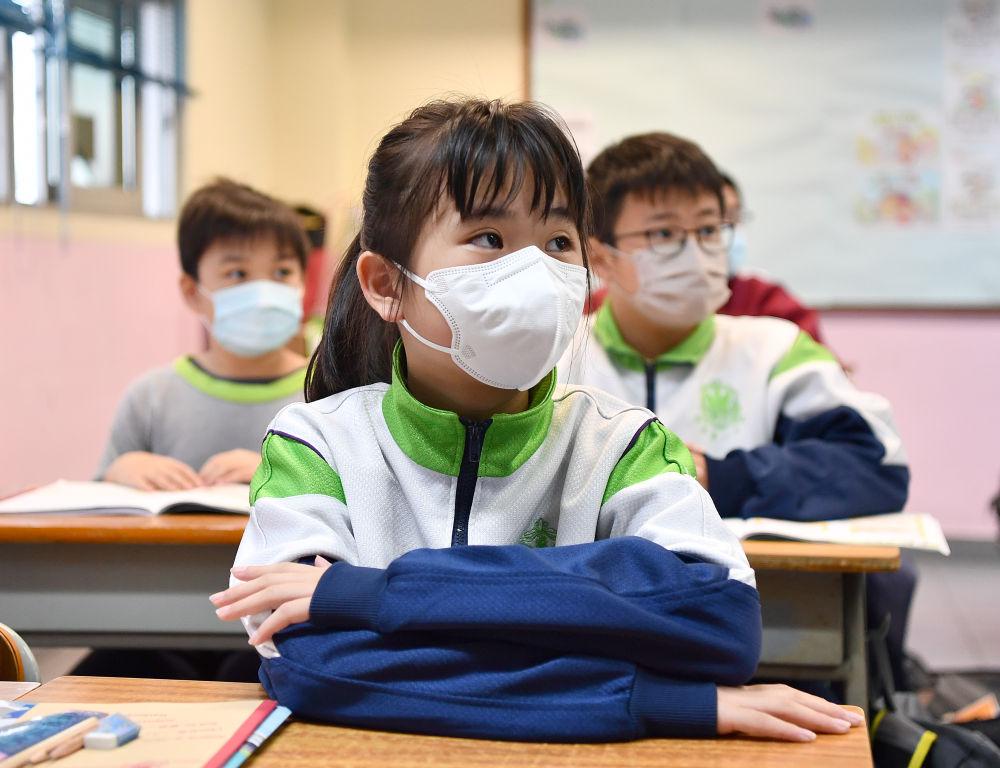 香港今晚必開一肖，深度解析與預(yù)測，香港今晚生肖預(yù)測，深度解析與獨家預(yù)測