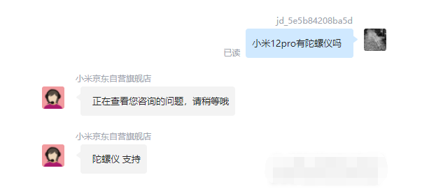 王中王一肖碼，探索關(guān)鍵詞背后的奧秘，王中王一肖碼，揭秘關(guān)鍵詞背后的奧秘