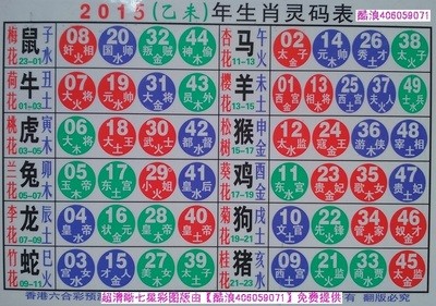 揭秘2025十二生肖與數(shù)字彩票的神奇聯(lián)系——49碼表全解析，揭秘十二生肖與數(shù)字彩票的神秘聯(lián)系，2025年49碼表深度解析