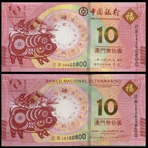 澳門天天彩期期精準(zhǔn)十二生肖預(yù)測(cè)——揭秘彩票背后的秘密，澳門天天彩期期精準(zhǔn)十二生肖預(yù)測(cè)，彩票背后的秘密大揭秘