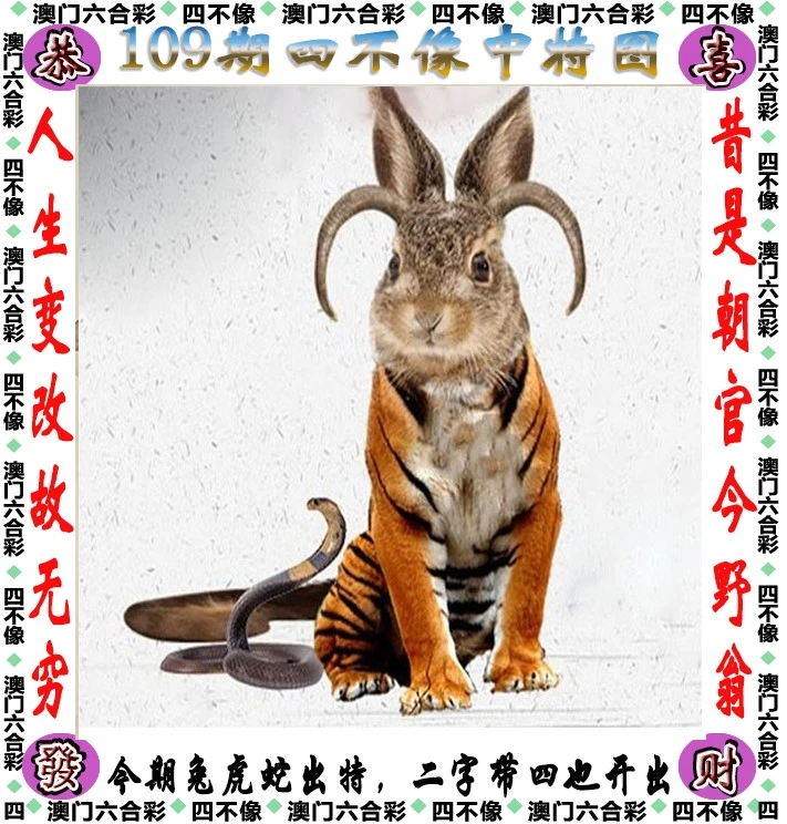四不像王中王資料一肖，深度解析與探索，四不像王中王資料一肖，深度解析與探索揭秘