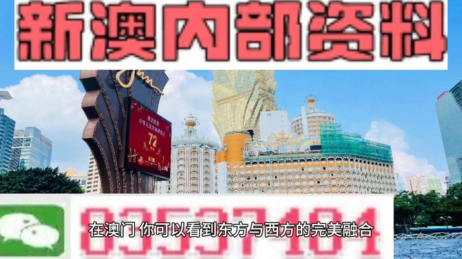 新澳新澳門正版資料，探索與解析，新澳新澳門正版資料深度解析與探索
