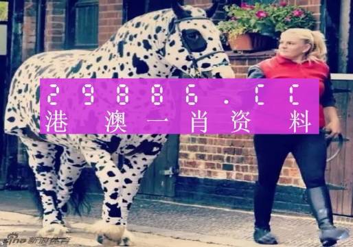 澳門王中王，一肖一特一中深度解析（180期精彩回顧），澳門王中王，深度解析第180期精彩回顧，生肖與特碼揭秘