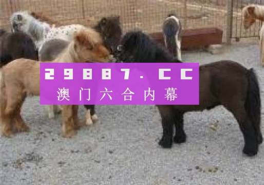 王中王平特一肖四不像圖，深度解析與SEO優(yōu)化策略，王中王平特一肖四不像圖，深度解析與SEO優(yōu)化策略探討