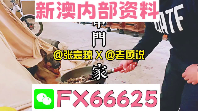 新澳門(mén)精準(zhǔn)資料大全，管家婆料解析與探索，澳門(mén)精準(zhǔn)資料大全，管家婆料解析與深度探索