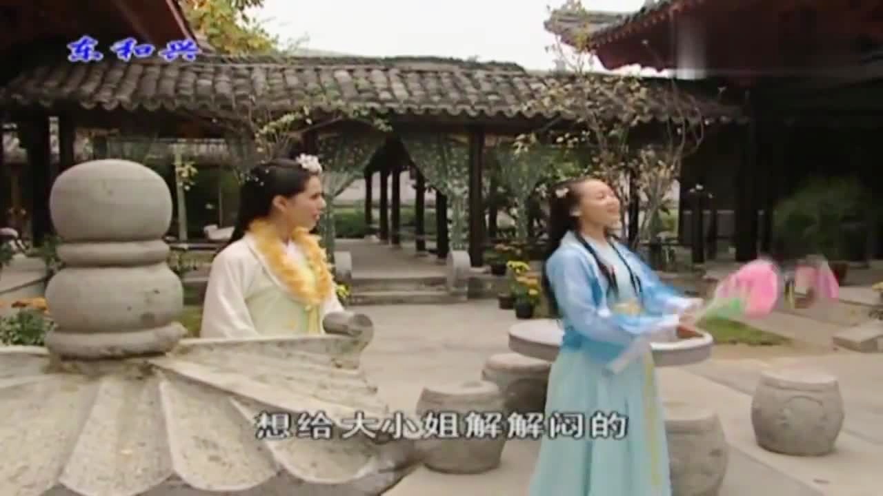 劉伯溫白小姐一肖期期準(zhǔn)，神秘預(yù)測(cè)背后的真相，劉伯溫白小姐生肖預(yù)測(cè)揭秘，神秘預(yù)測(cè)背后的真相