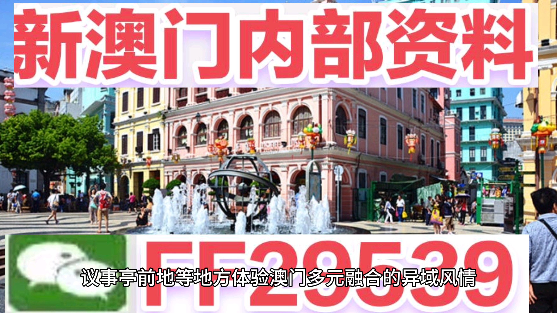 澳門今晚必開一肖一特，揭秘生肖彩票的魅力與策略，澳門生肖彩票揭秘，必開一肖一特的魅力與策略