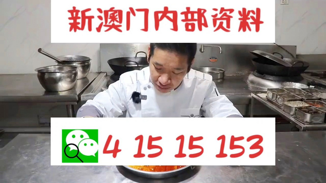 管家婆一肖資料大全，深度解析與探索，管家婆一肖資料深度解析與探索大全