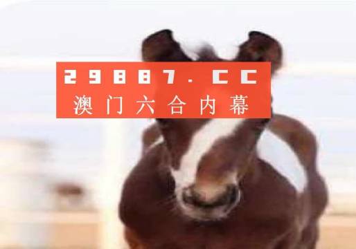澳門必開(kāi)一肖一碼安穩(wěn)，揭秘彩票背后的秘密與策略，揭秘彩票背后的秘密與策略，澳門必開(kāi)一肖一碼安穩(wěn)探討