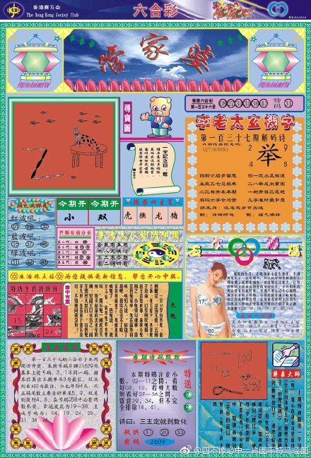 揭秘66O678王中王定碼四不像一肖，神秘數(shù)字背后的故事，揭秘神秘數(shù)字背后的故事，揭秘66O678王中王定碼四不像一肖的傳說