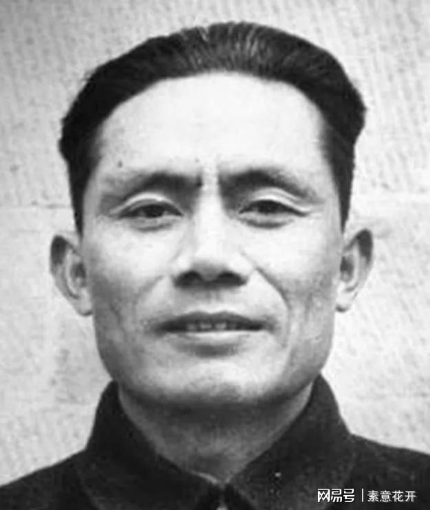 王中王平肖一特，聚焦關(guān)鍵詞背后的故事與成就，王中王平肖一特，關(guān)鍵詞背后的故事與輝煌成就