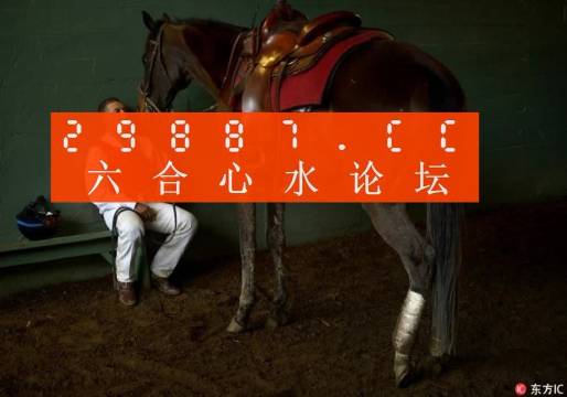 一肖一馬王中王一馬中特，深度解析與SEO優(yōu)化策略，一肖一馬王中王深度解析與SEO優(yōu)化策略探討