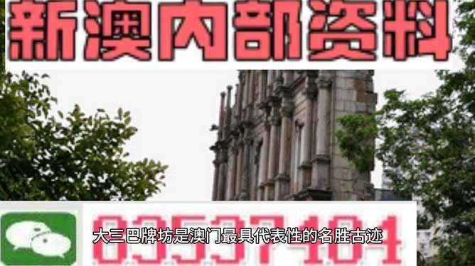 探索澳門未來，2025新澳門最精準(zhǔn)的發(fā)展方向與芳草地展望，澳門未來展望，2025精準(zhǔn)發(fā)展方向與芳草地展望的探索