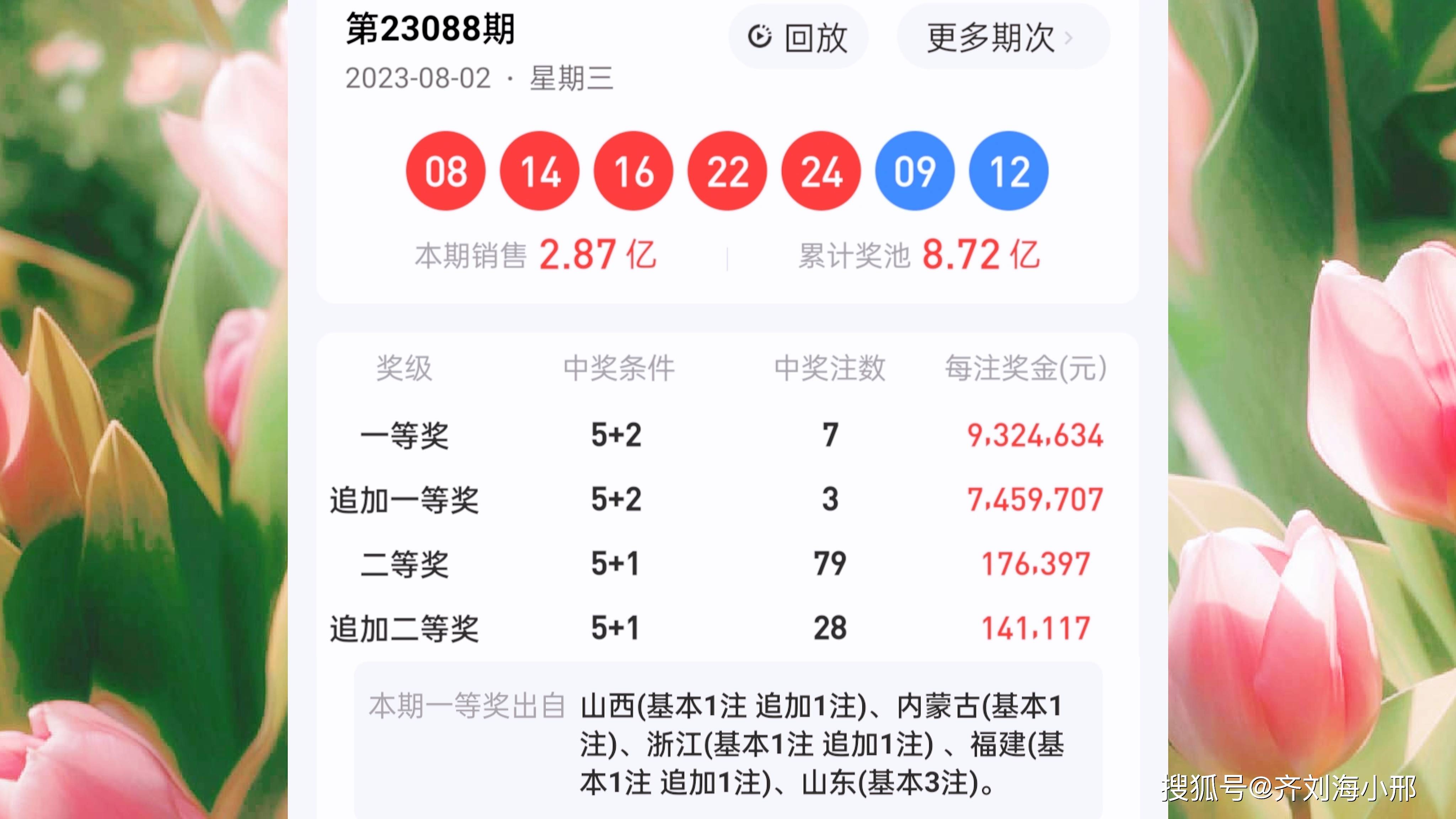 最新開獎結(jié)果揭曉，王中王與一肖中的幸運時刻，王中王與一肖中幸運時刻揭曉，最新開獎結(jié)果出爐