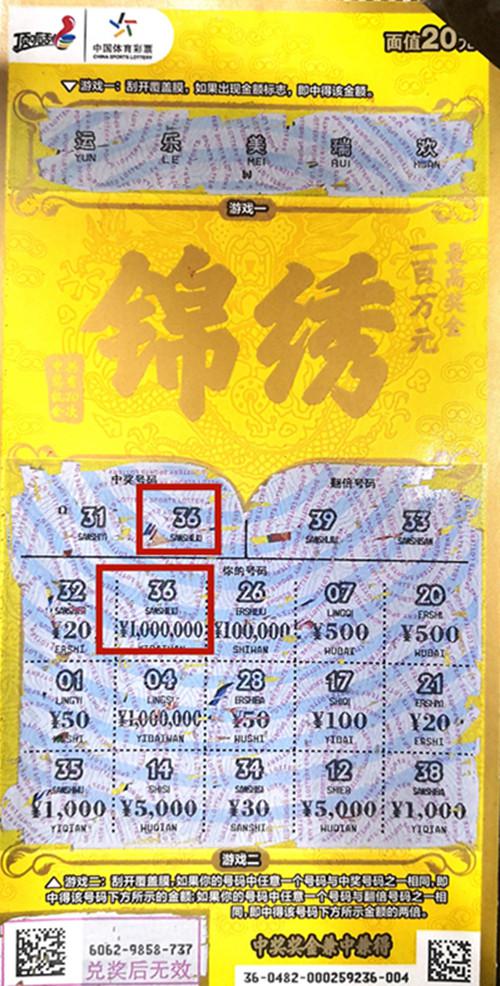 王中王六肖一碼期期中的奧秘與探索，王中王六肖一碼期奧秘揭秘與探索