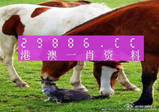 新奧門一肖一碼，揭秘精準(zhǔn)預(yù)測的秘密，揭秘新澳門一肖一碼精準(zhǔn)預(yù)測的秘密