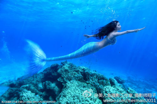 澳門(mén)美人魚(yú)最快開(kāi)獎(jiǎng)結(jié)果圖——揭秘?zé)衢T(mén)彩票游戲背后的秘密，澳門(mén)美人魚(yú)彩票開(kāi)獎(jiǎng)揭秘，最新結(jié)果圖與游戲背后秘密探索