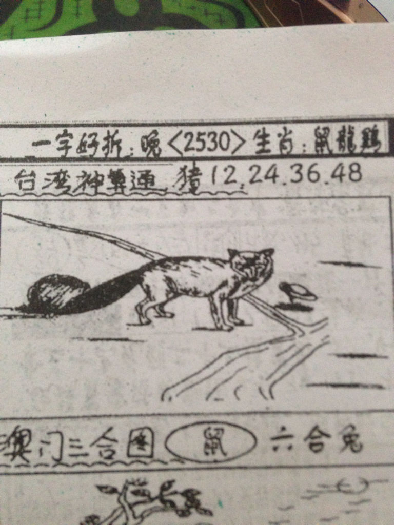 揭秘劉伯溫的生肖，一場(chǎng)看圖尋特之旅，揭秘劉伯溫生肖之謎，一場(chǎng)生肖圖片探尋之旅