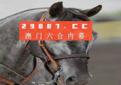 澳門一一碼一特一中準(zhǔn)選今晚，探索真實有效的選擇與策略，澳門今晚一特一中準(zhǔn)選碼，真實有效的選擇與策略探索
